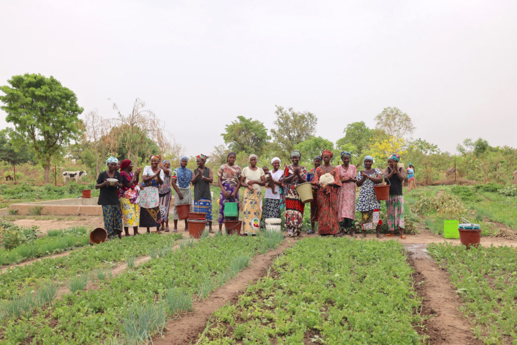 Women in a market gardening group in Mali