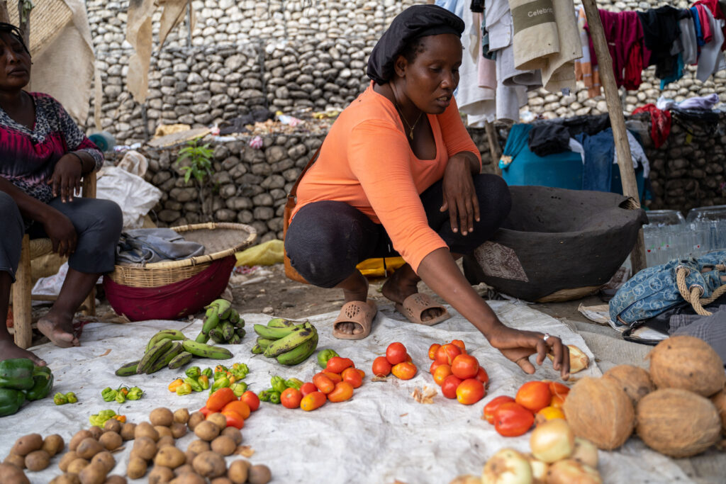 A woman in a red shirt sits on a tarp with vegetables in front of her to sell